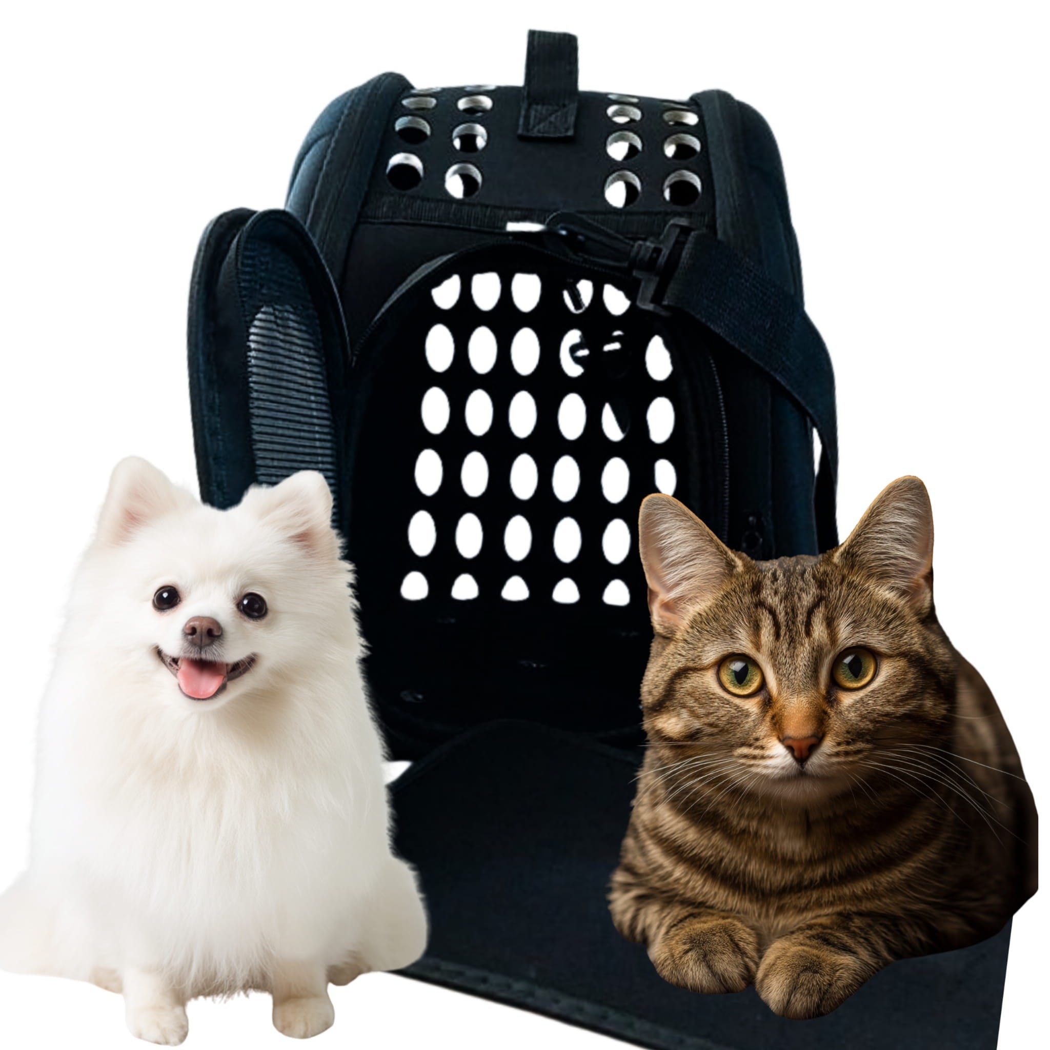Torba transportowa Modi 42×33×28,5 cm – praktyczna torba do transportu